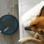 Robot met dweil en stofzuiger in 2023